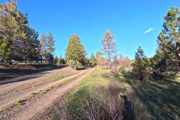 Madison Butte Lookout - FS 2119033