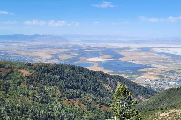 Steed Canyon Overlook