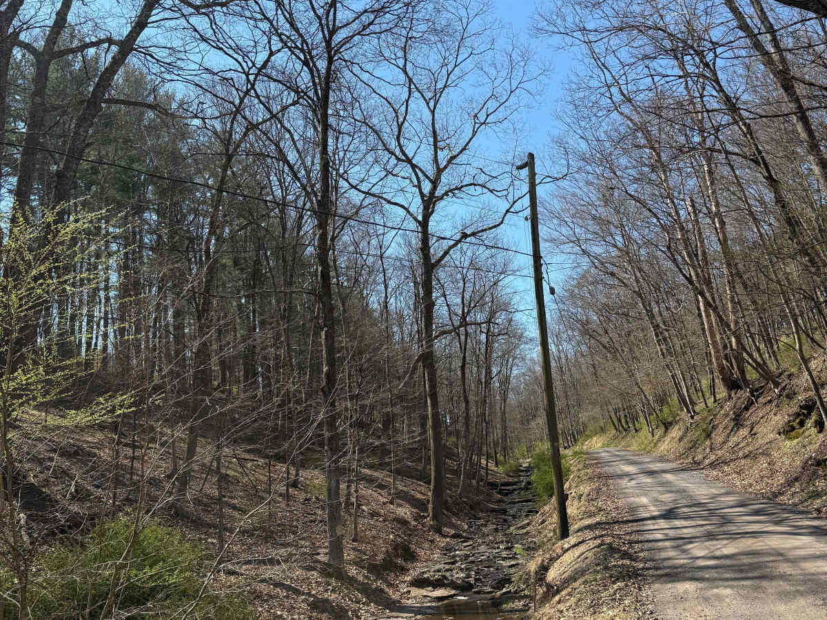 Permanent School Road photo 2