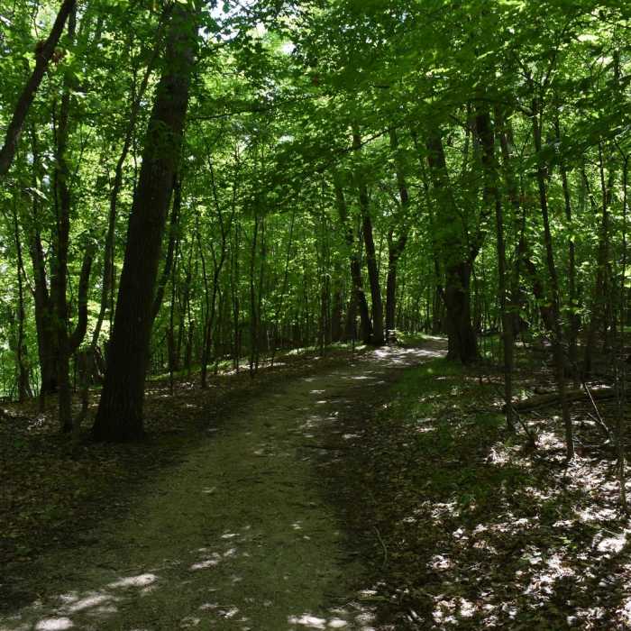 Near Hiking Club Route Near Hiking Club Route