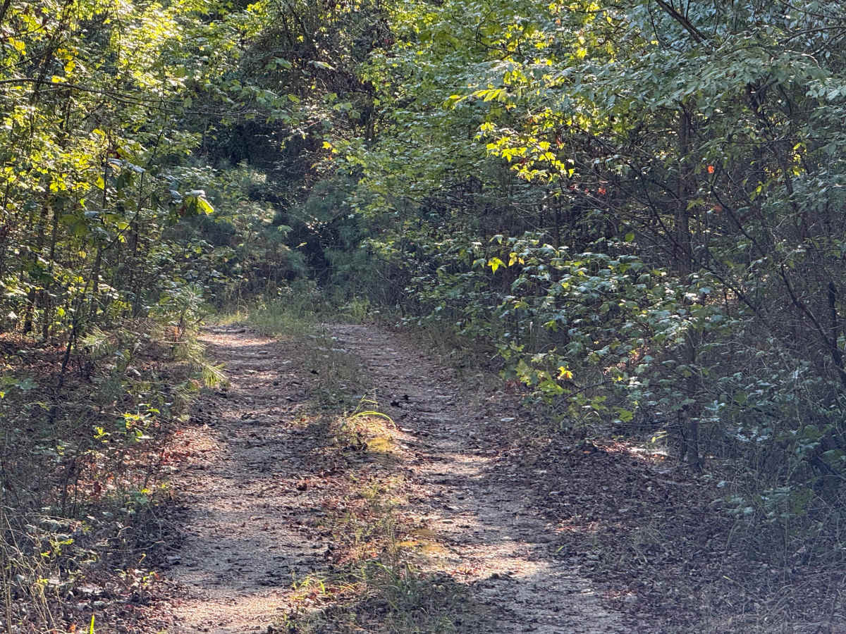 Bolan Creek photo 4
