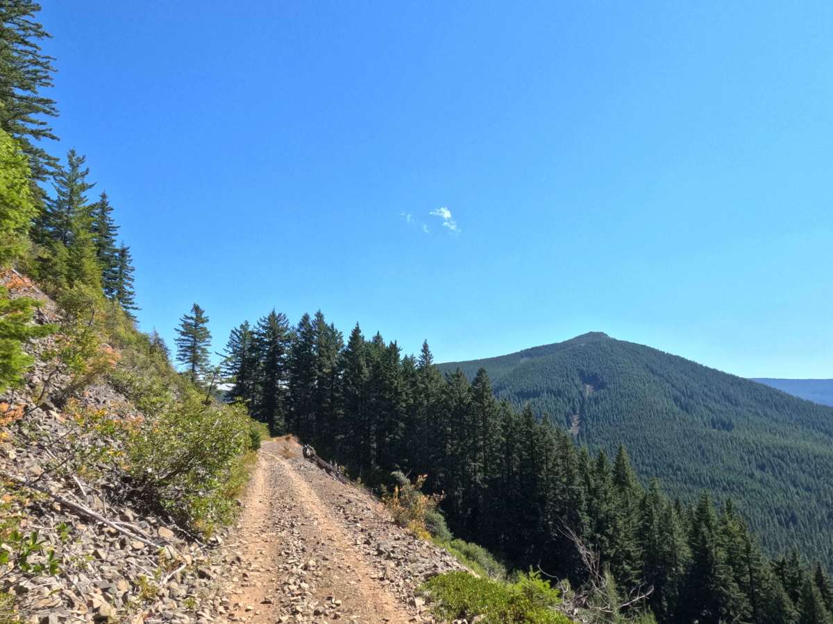 Abbott Road East - FS 4610000 trail photo