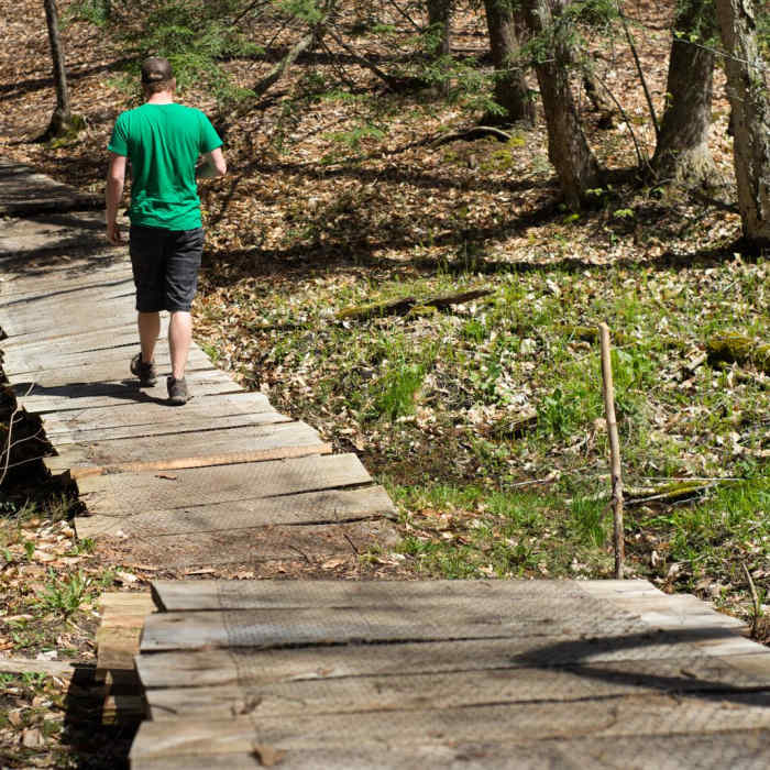 Near Stone Valley Recreation Area