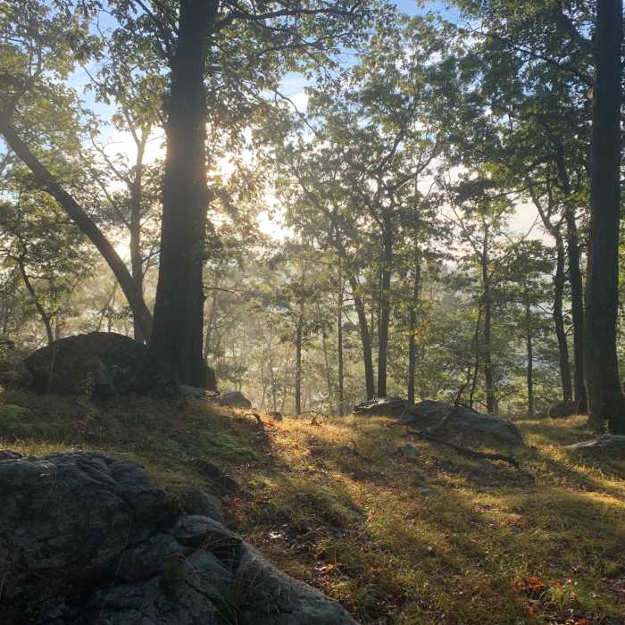 Near Bear Mountain-Harriman Loop