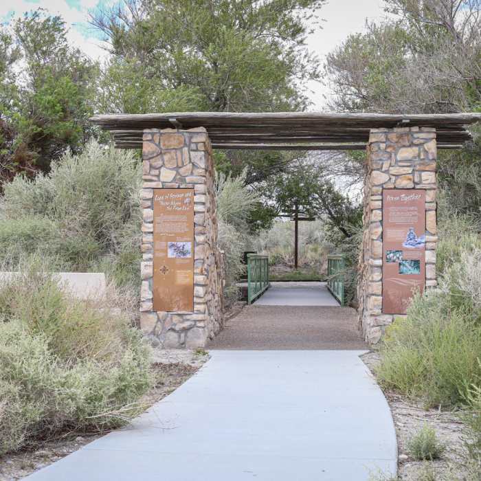 Near Jackrabbit Loop