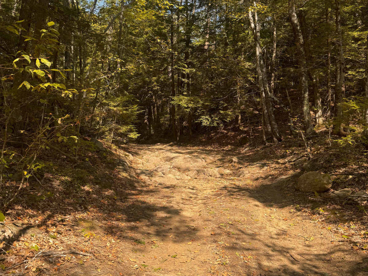 Mountain Road photo 3