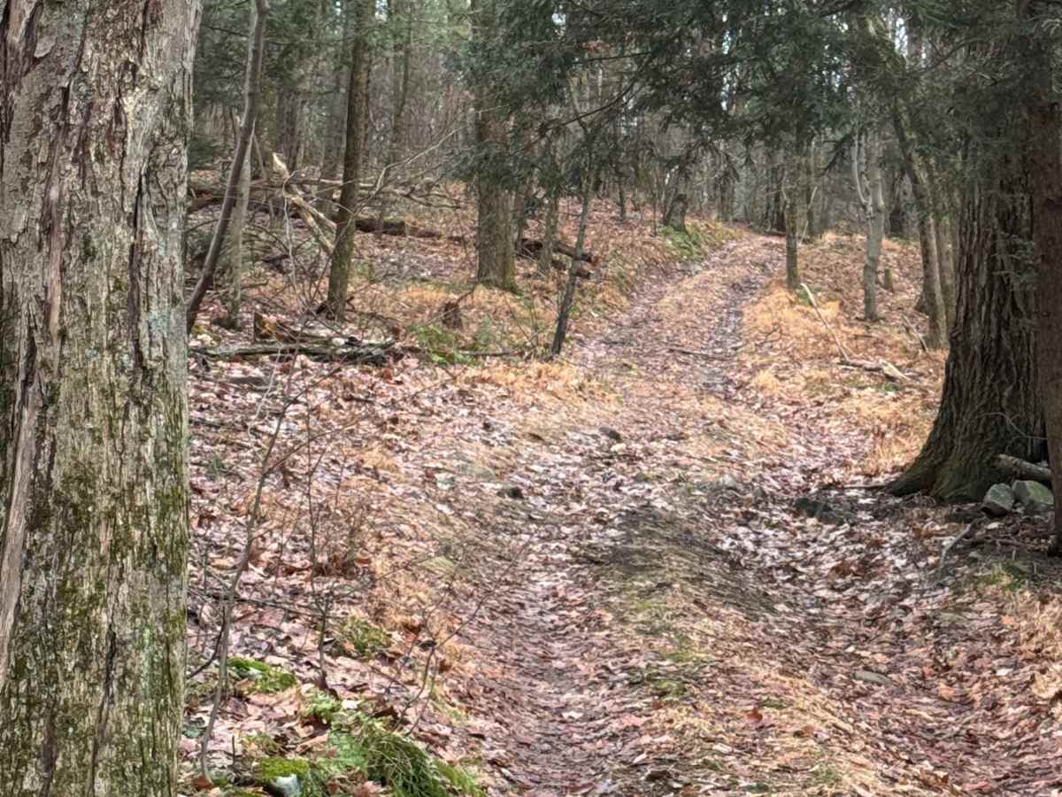 Middle Ridge Trail photo 4