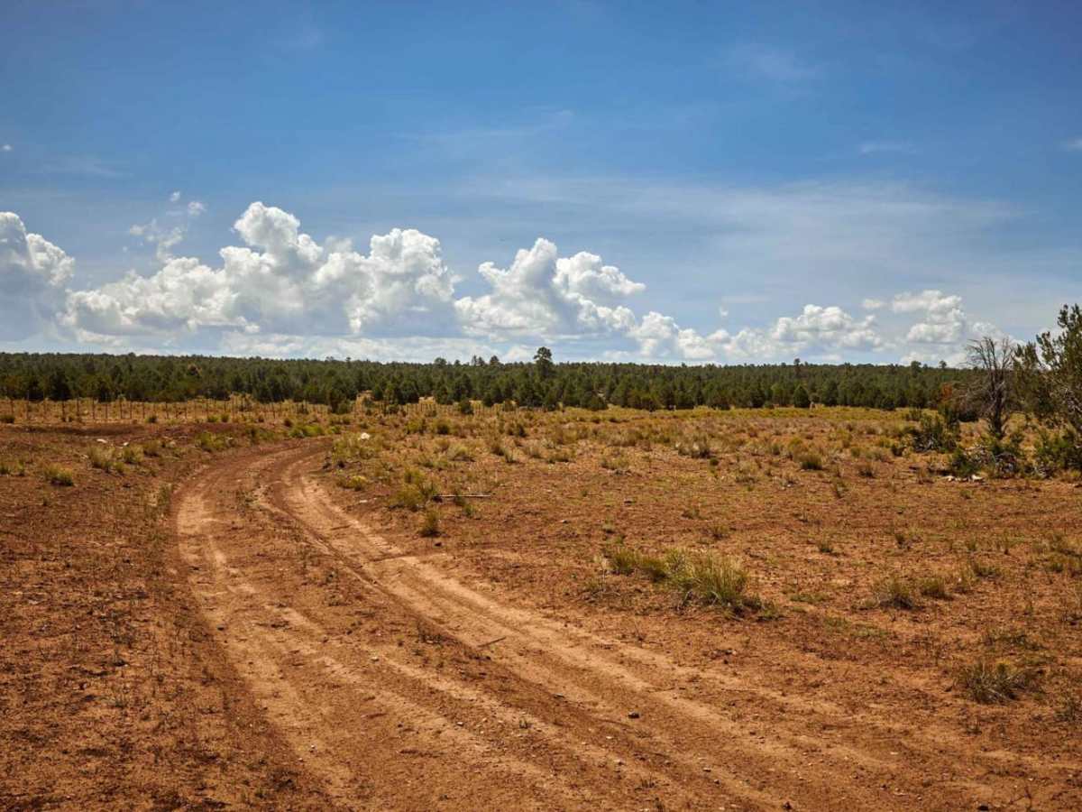 FR 2738 trail photo