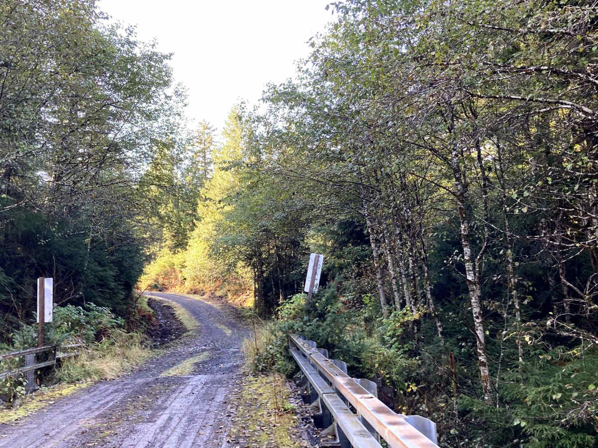Lake Ellen Road West - FS 203000W photo 4