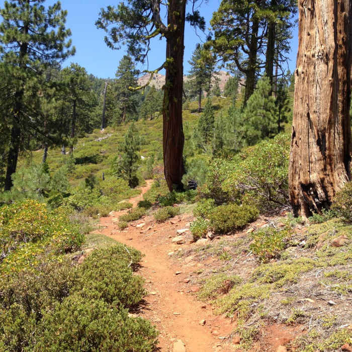 Near Stonewall Pass + Echo Lake