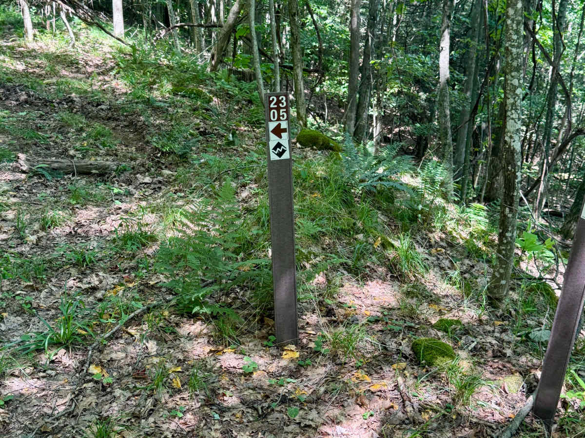 2305 Black trail photo