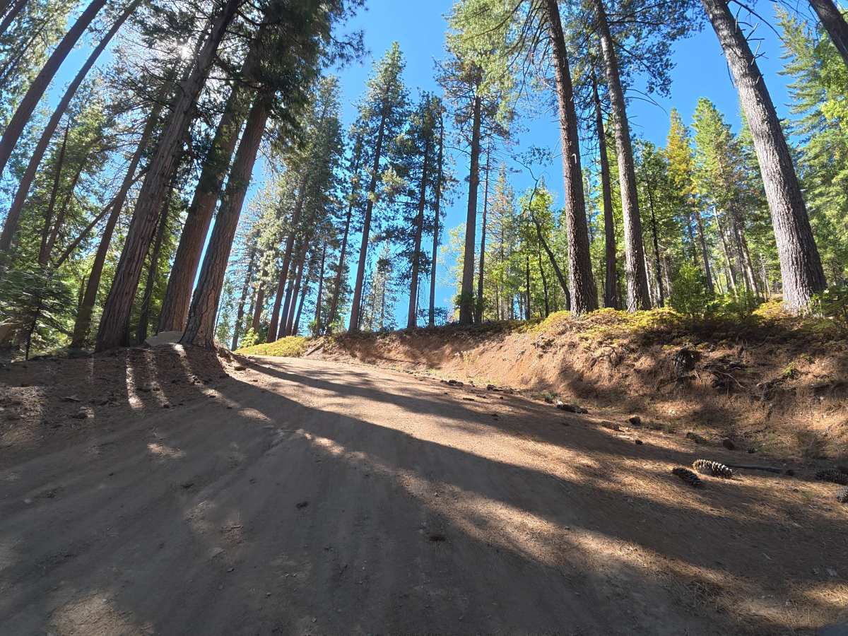 FS 3N05 trail photo