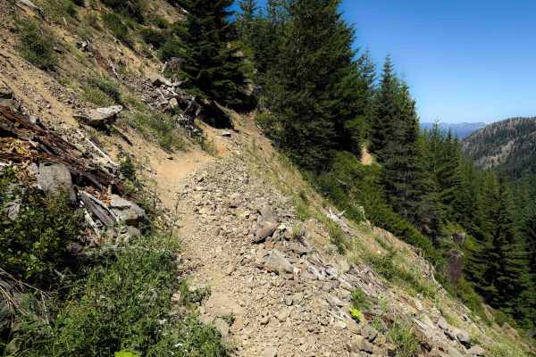 Little Creek Basin Trail 1334