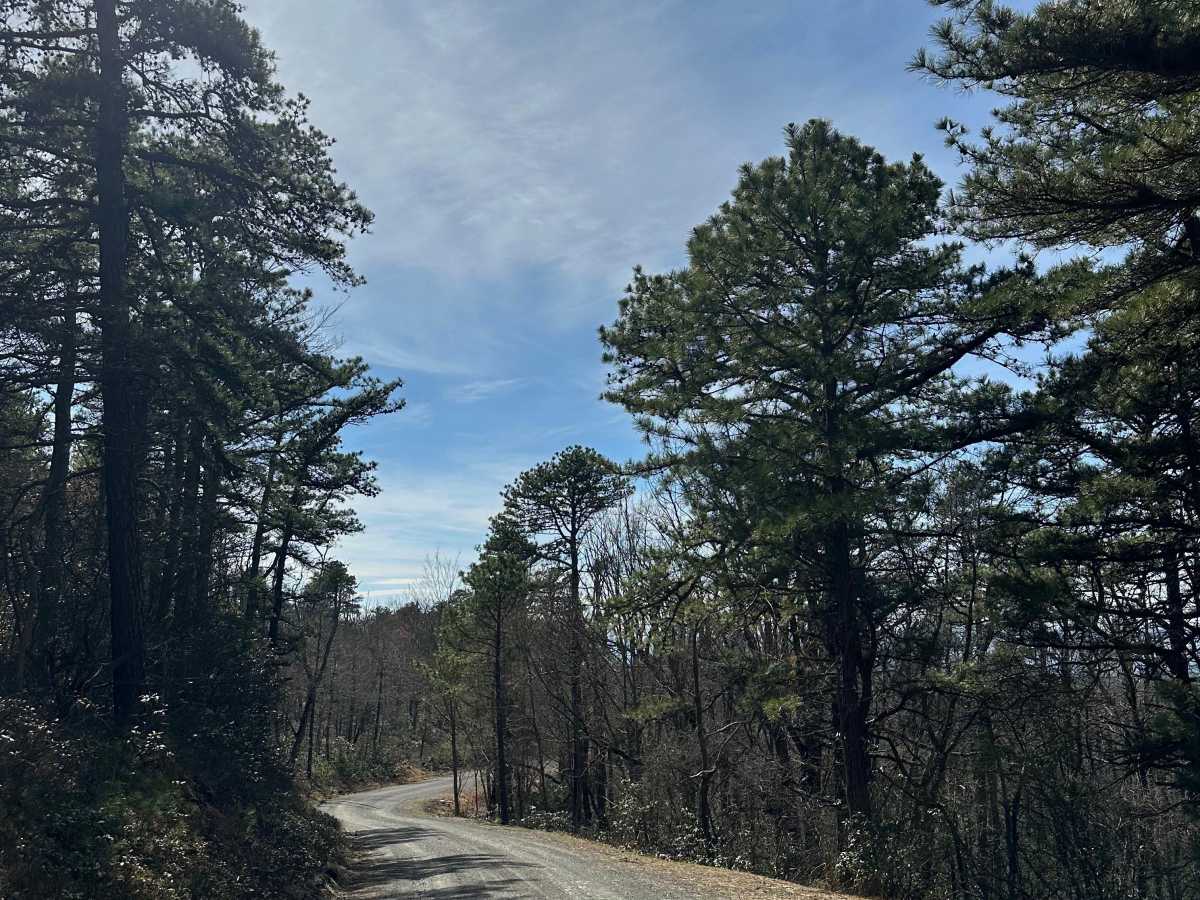 Middle Ridge Road  trail photo