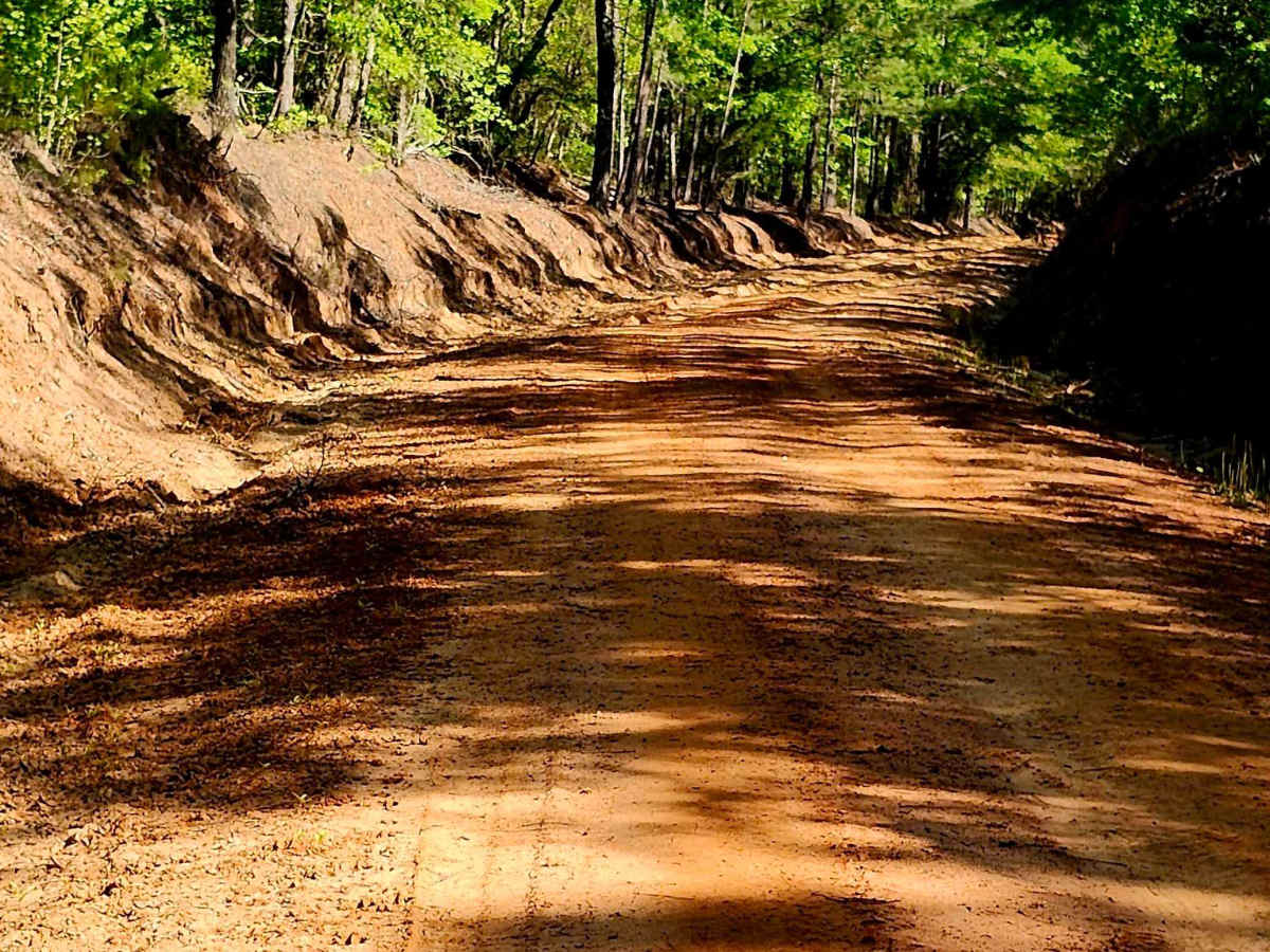 Hannahatchee Creek Trail photo 4