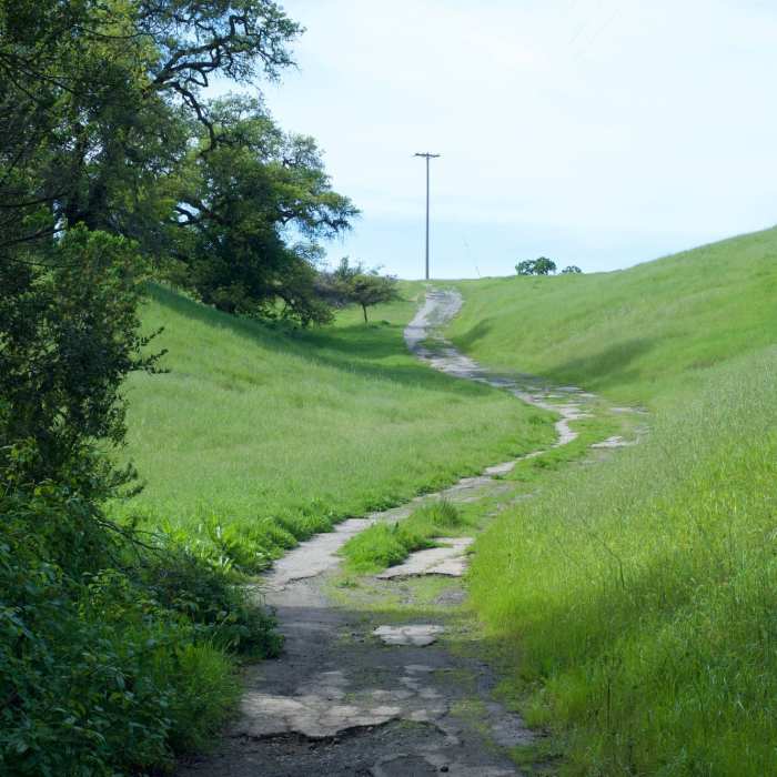 Near Wild Rye Trail