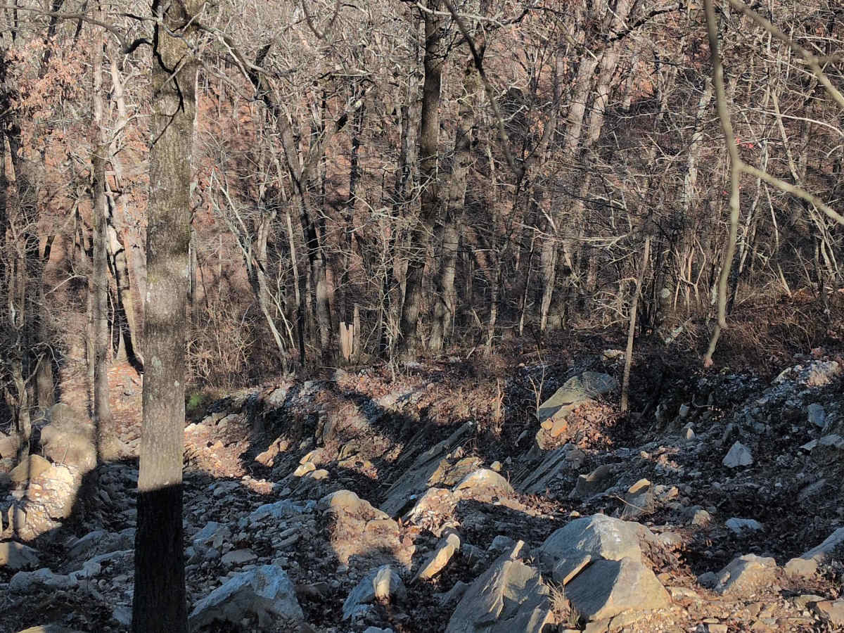 C16 photo 5
