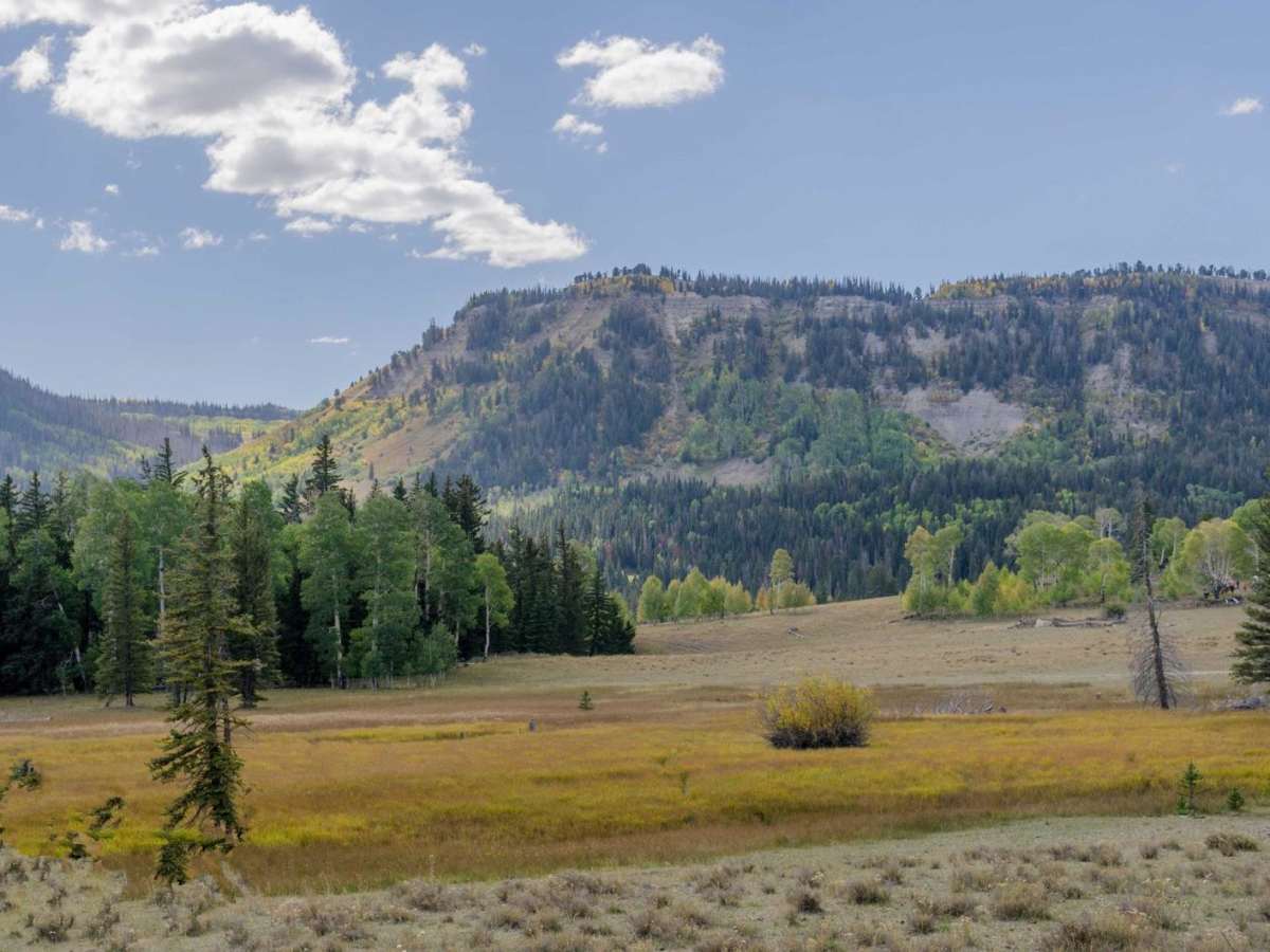 Arapeen Ephraim Canyon to Joes Valley photo 5