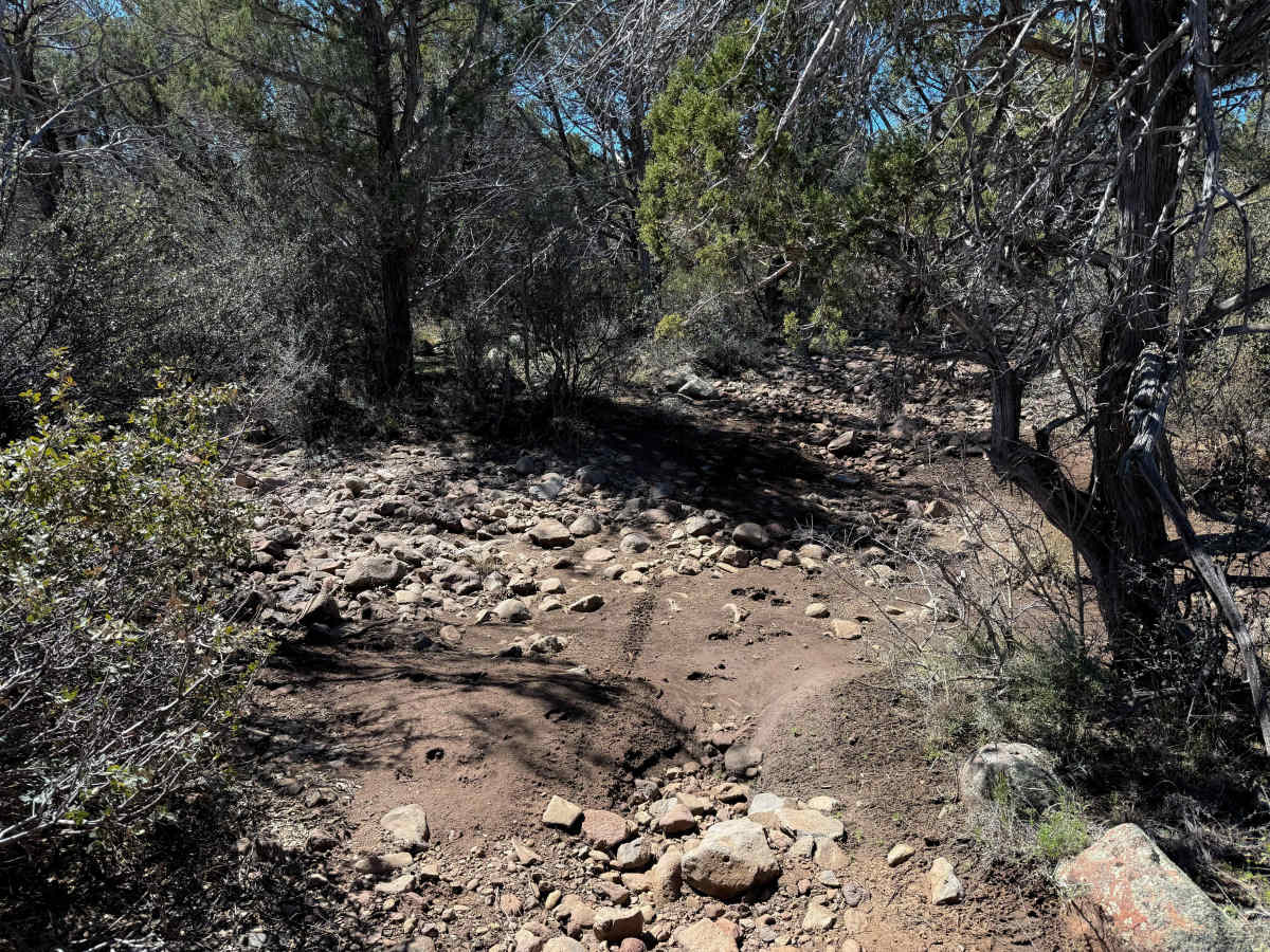 Tailhoit Mesa Trail #666  photo 4