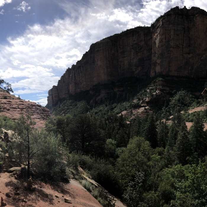 Near Boynton Canyon Trail Out and Back
