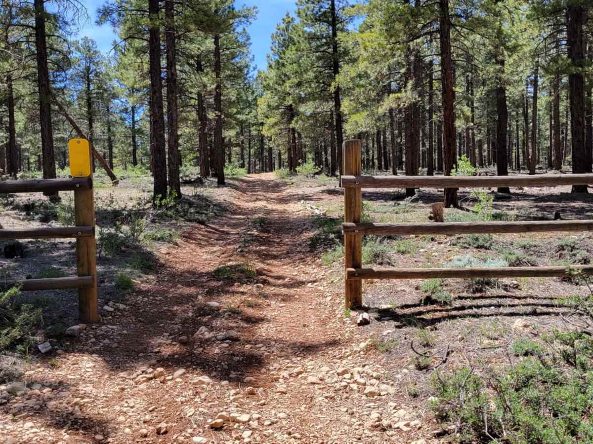 Uinta Loop 1 photo 5