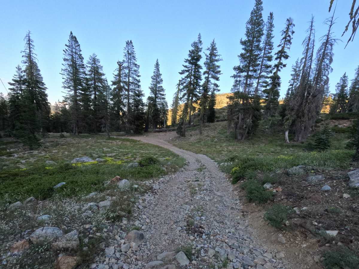 Gold Lake Shore Upper Segment - FS 12M01 photo 5
