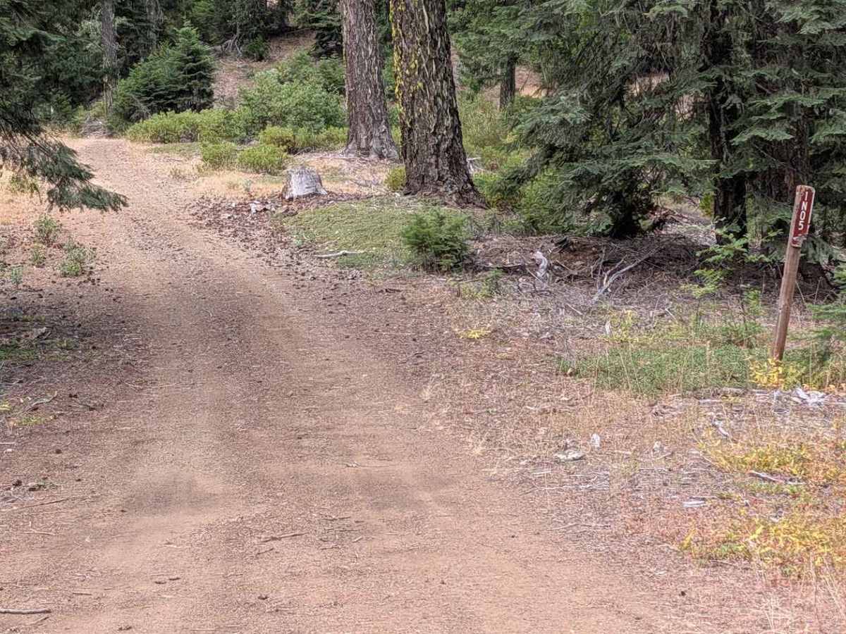 Grouse Prairie Road - FS 1N05 trail photo