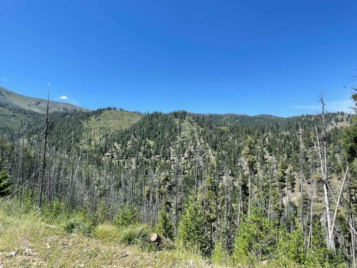 Medicine Point Trailhead photo 6