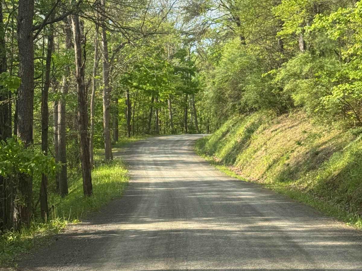 Woomers Divide Road photo 3