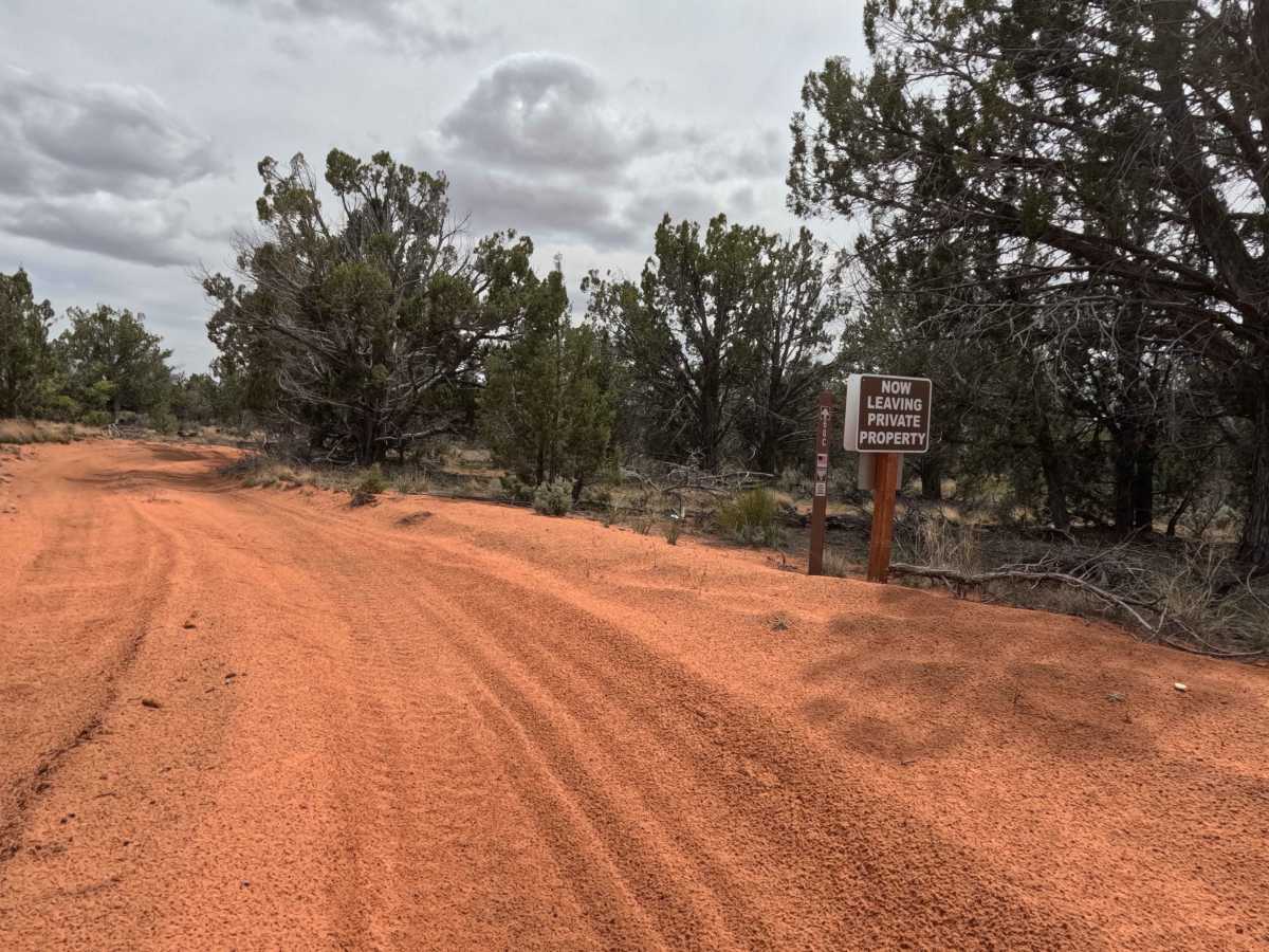 BLM 60C photo 2