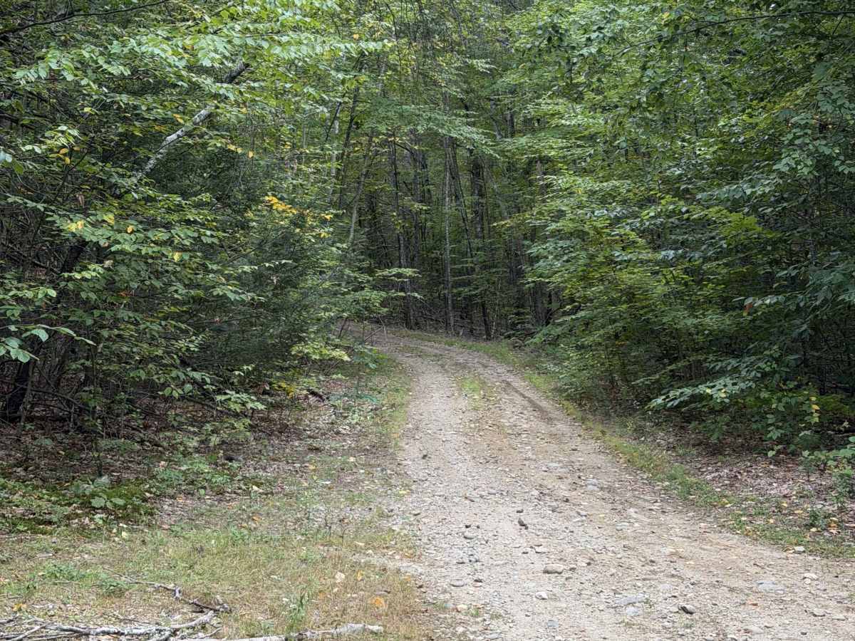 Marsh Ridge Road trail photo