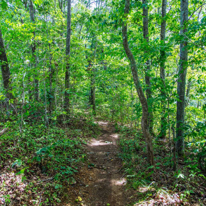 Near Baker's Bluff Trail