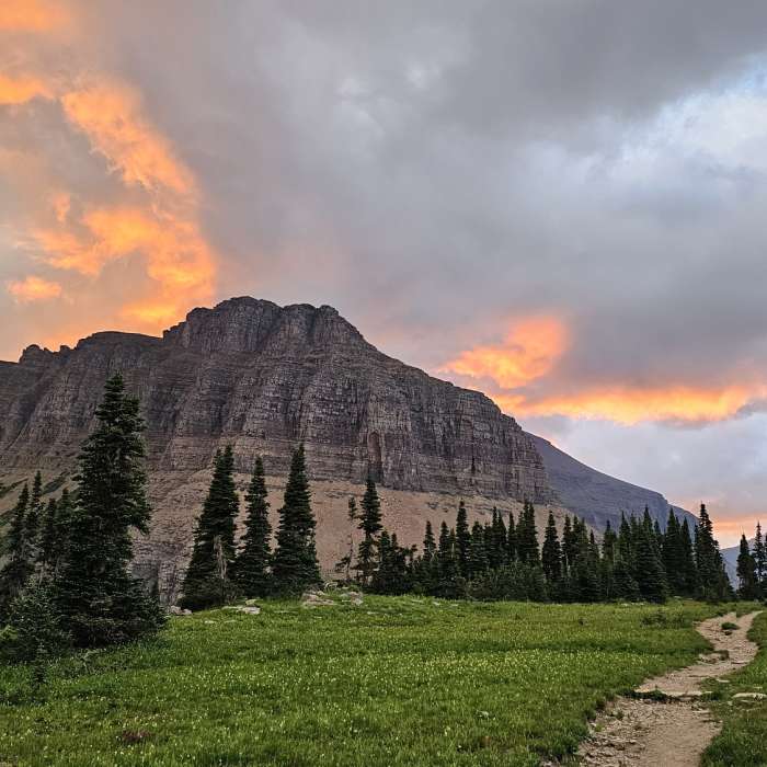 Near Reynolds Mountain Out-and-Back