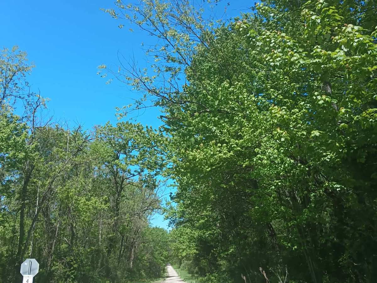 Township Highway NR2 photo 2