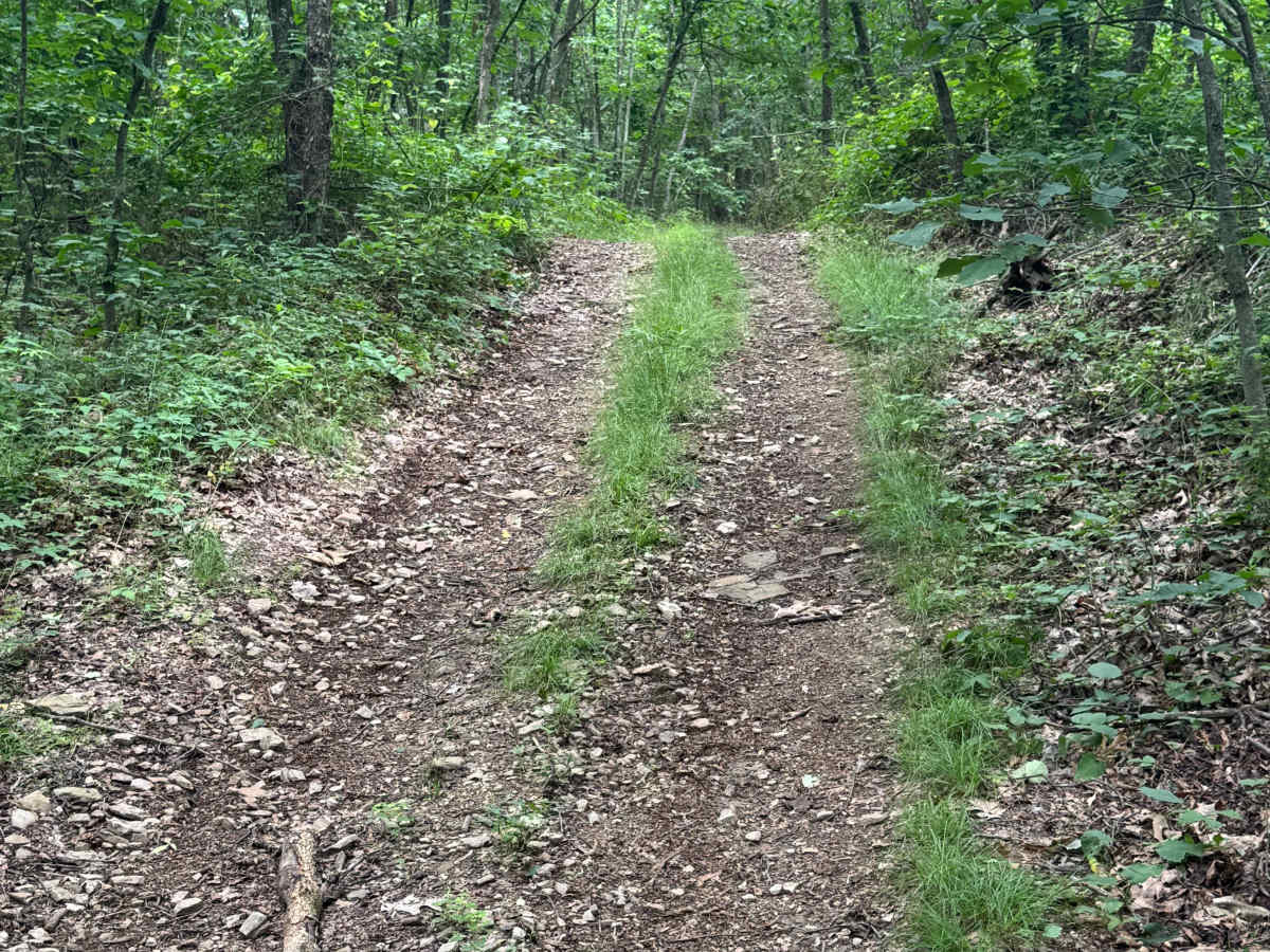 Trail 75 photo 6