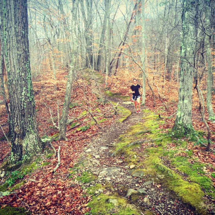 Near Red Trail