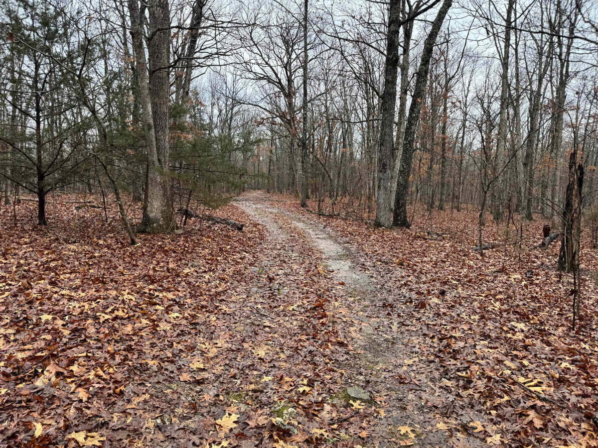 FS 1727C photo 6