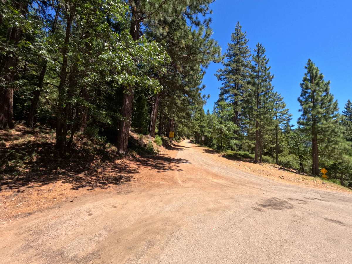 Sierra Buttes Road photo 3