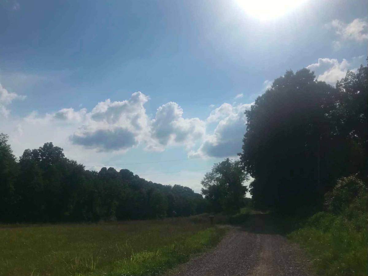 Old Forest Ridge Road photo 3