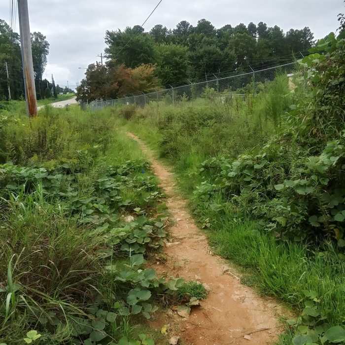 Near Wake Forest Soft Trails