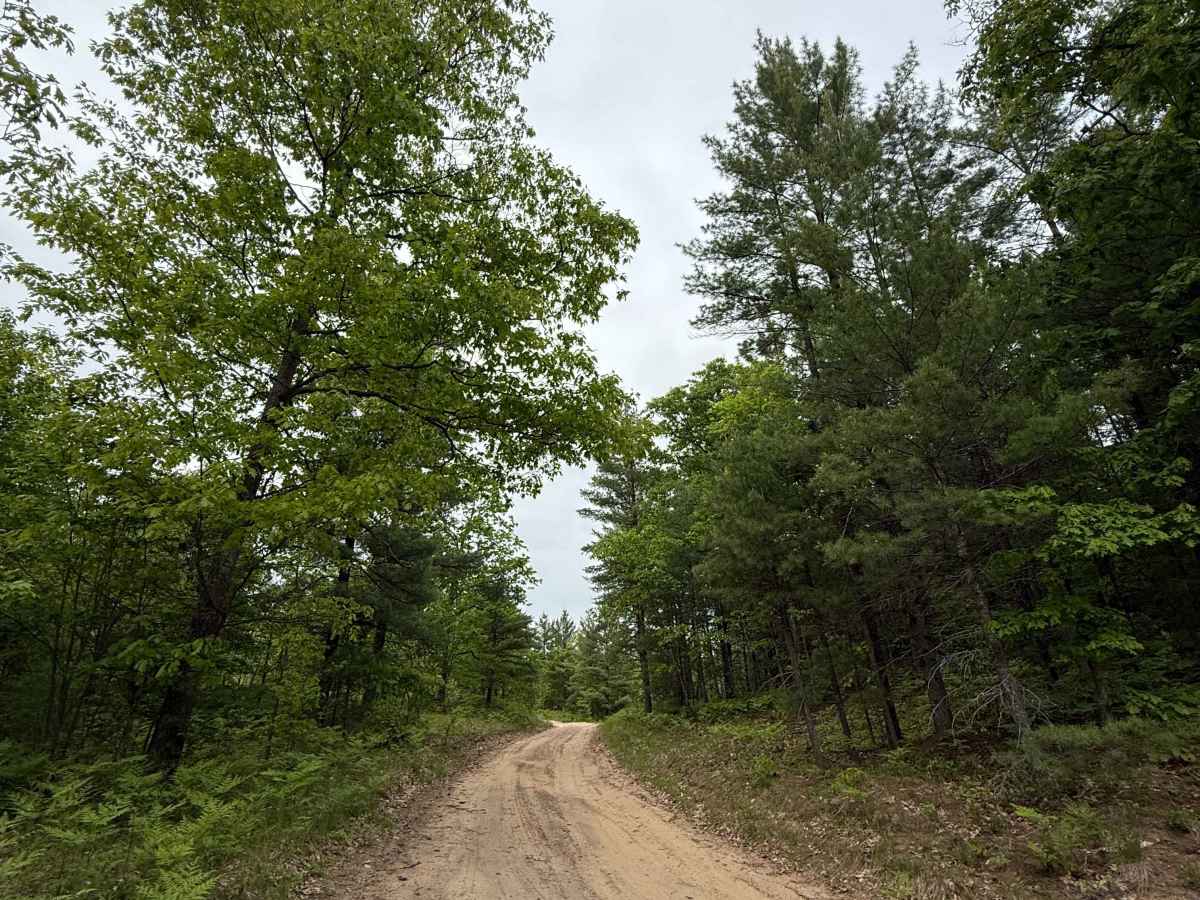 Crofton Road Trail trail photo