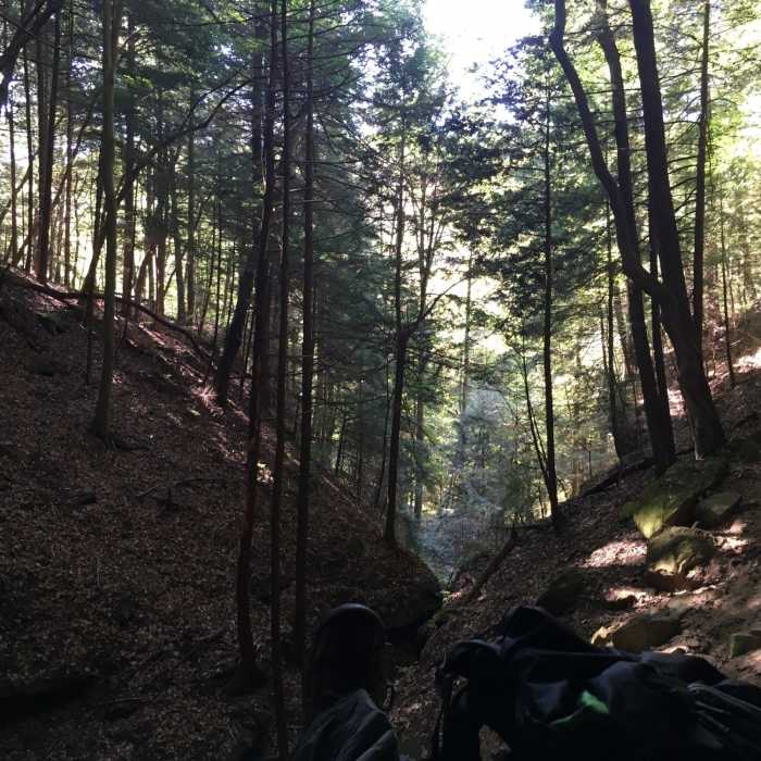 Looking down ravine off Whispering Cave Trail. Near Whispering Cave Trail