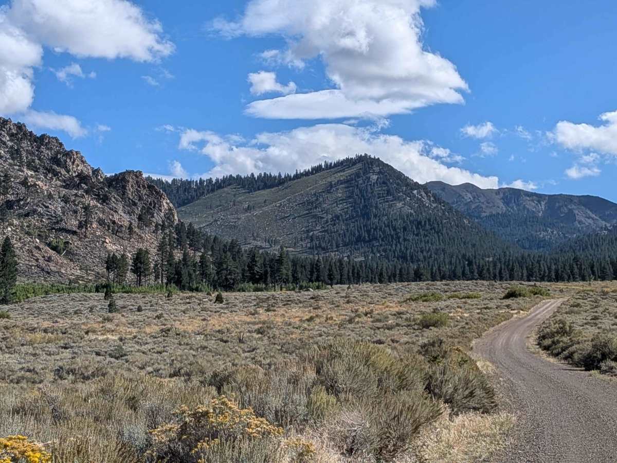 Mill Canyon Road photo 2