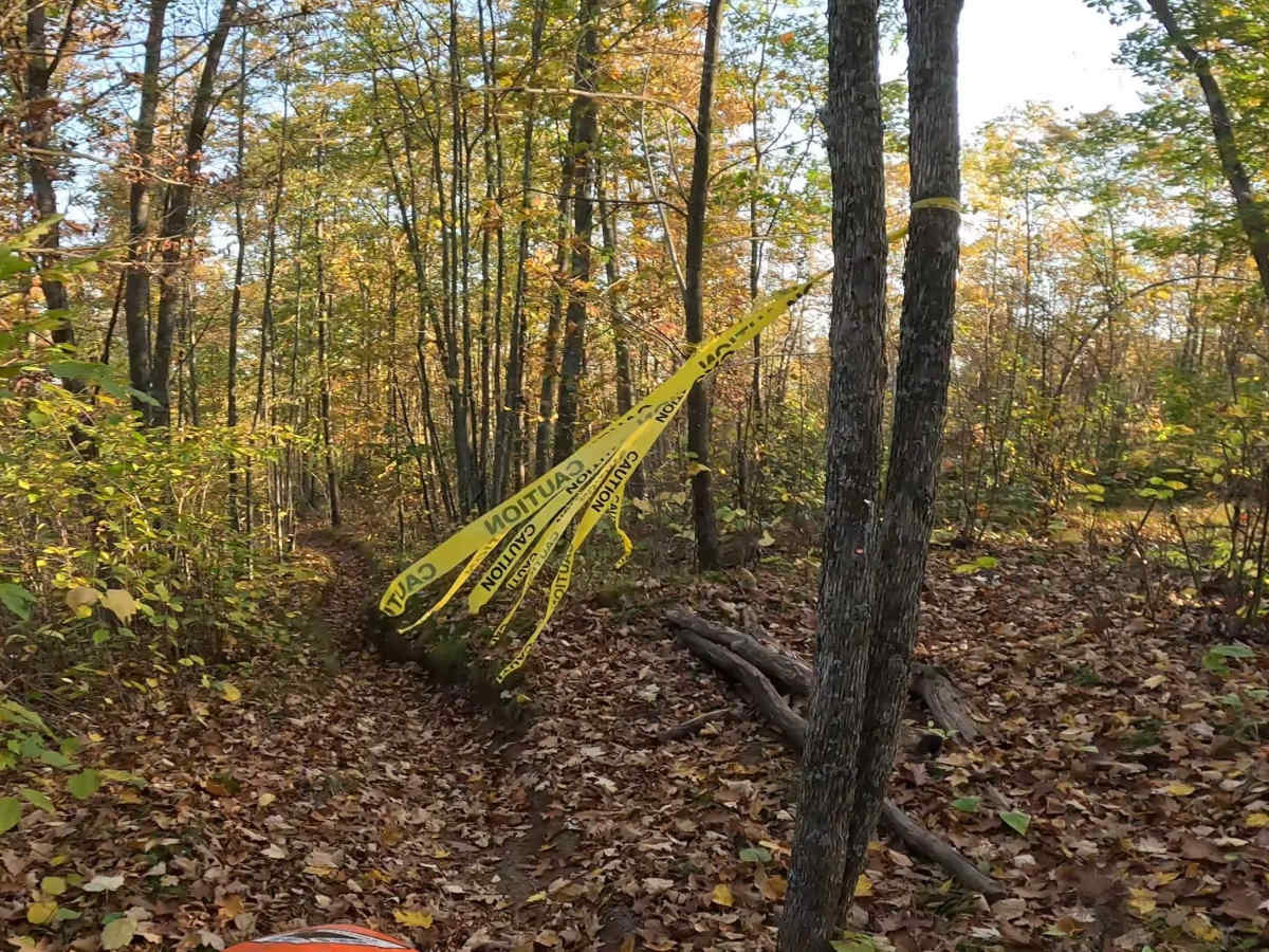 Straight Arrow Long Trail photo 2