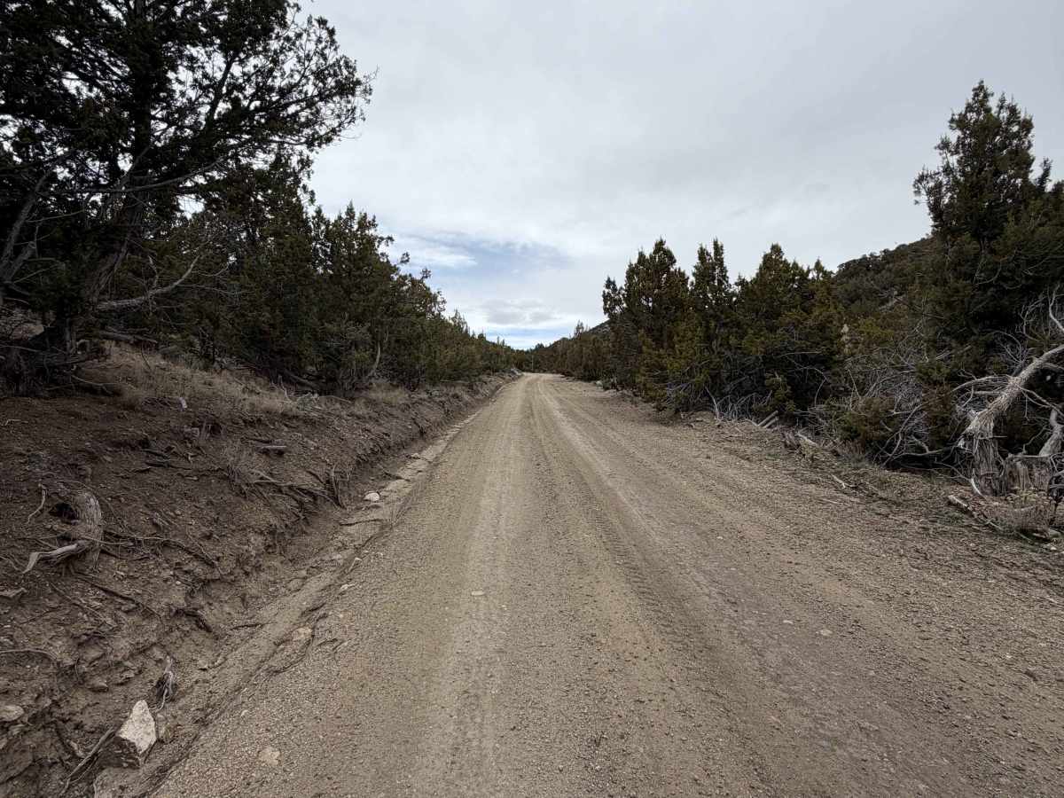 Shepherd Road photo 3