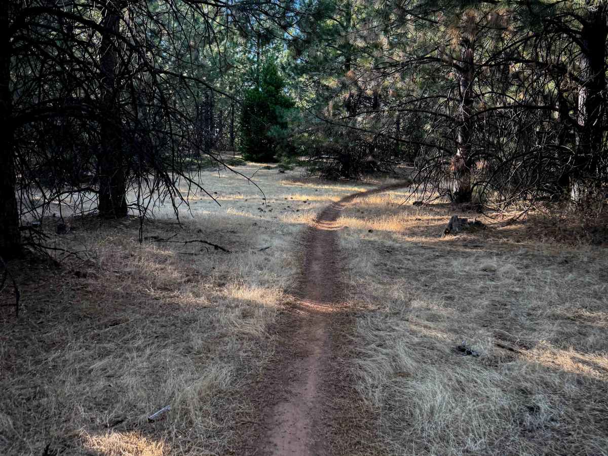 16EV244 trail photo