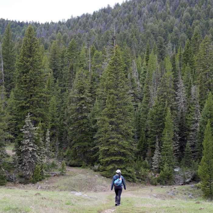 Near History Rock Near History Rock