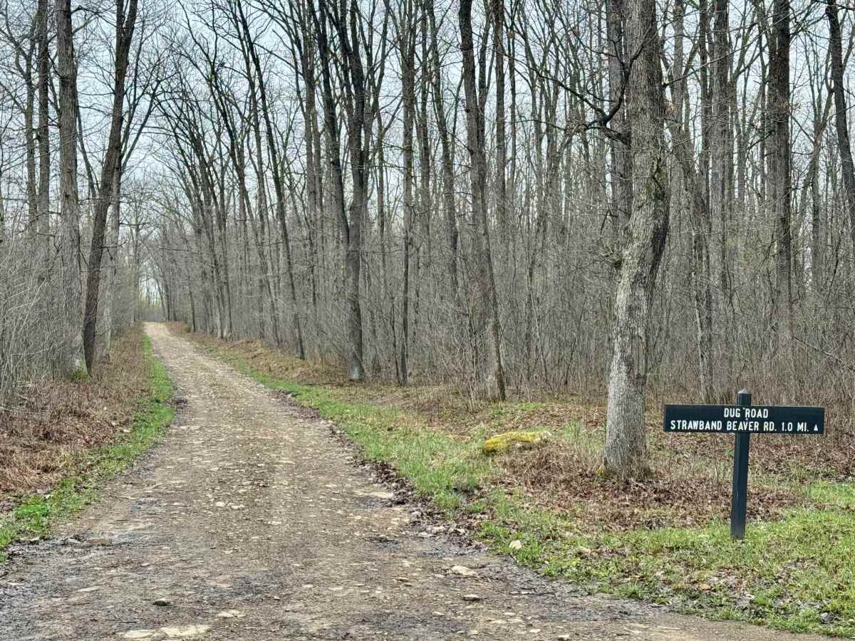 Dug Road trail photo