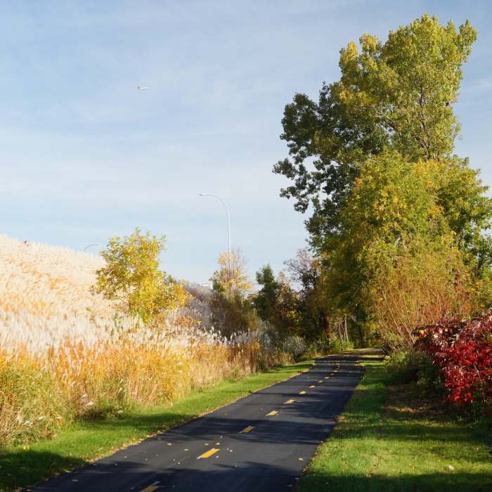 Near North Cedar Lake Regional Trail