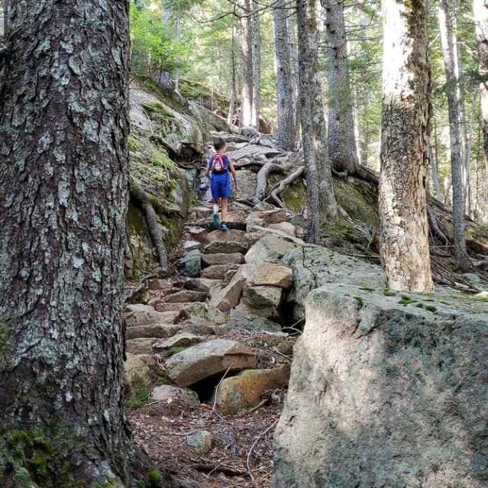 Goat trail to the summit Near Norumbega Mountain Loop